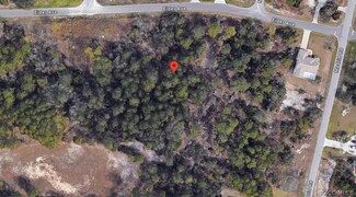 0 Eider Ave Unit 835577, Weeki Wachee, FL 34613