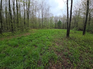 120 Fuller Rd, Triangle, NY 13778