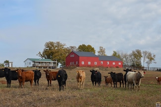 20031 S Berryton Rd, Lyndon, KS 66451