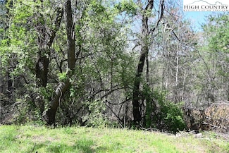 15 River Bend Hills Rd, Crumpler, NC 28617