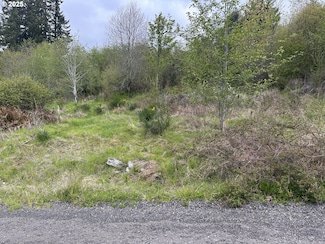 0 Elderberry Rd, Elsie, OR 97138