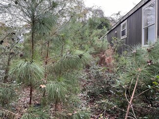 380 Lure Ln, Livingston, TX 77351