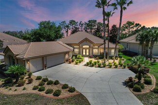 1342 W Double Eagle Ct, Hernando, FL 34442