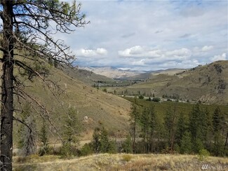 2 Hunter Mountain (Old Squaw Cr) Rd, Pateros, WA 98846