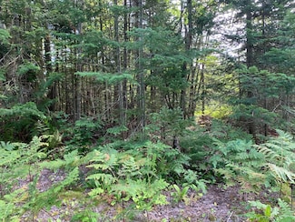 0 Michigan 123, Paradise, MI 49768