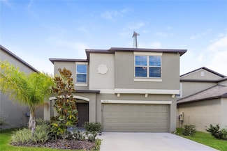 10254 Carloway Hills Dr, Wimauma, FL 33598