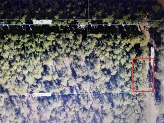 TBA NE 142nd Ct, Fort Mc Coy, FL 32134
