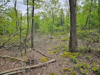 0 Harters Mills Trail Unit LotWP001, Rebersburg, PA 16872