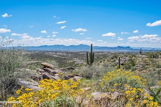 3601 W Adobe Ruins Place Unit Lot 7, Marana, AZ 85658