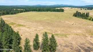 1605 Jasmine Ln Parcel 14, Weippe, ID 83553