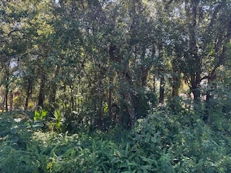 0 Beau Ct, Orange City, FL 32763