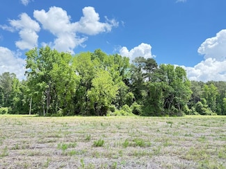 Tbd Gwen Dr Unit LotWP010, Hamer, SC 29547