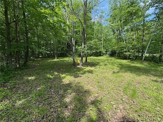 2826 28 7 16 St, Birchwood, WI 54817