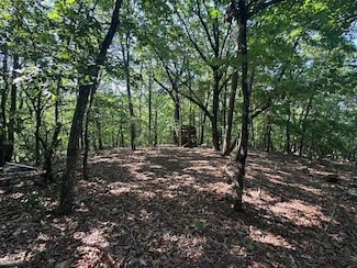 Scenic Dr, Pickens, SC 29671