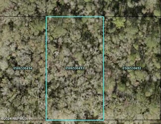 4620 Calvin St, Hastings, FL 32145