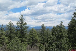 0 Kelseya Cir Unit 739832, Pagosa Springs, CO 81147