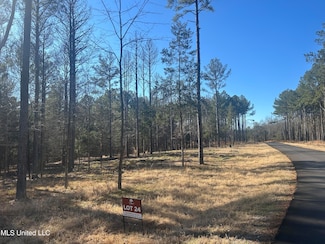 0 Springwood Trail Unit 4103026, Flora, MS 39071