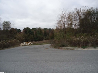 tbd Lot 4 Pratts Run Ln, Waynesboro, VA 22980