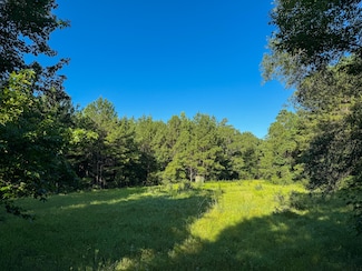 275 +/- J M Burge Rd, Hattiesburg, MS 39402