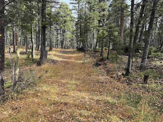 Lot 15 Vermejo Cir, Angel Fire, NM 87710