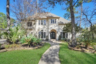 30 N Palmiera Cir, Spring, TX 77382