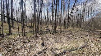 Lots 292-293 Jaeger Strasse Unit 292/93, Kearney Township, MI 49615