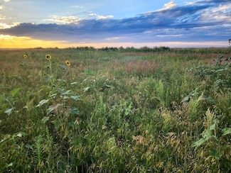 28301 County Road 4b, Genoa, CO 80818