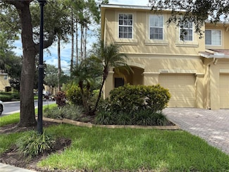 10606 Shady Falls Ct, Riverview, FL 33578