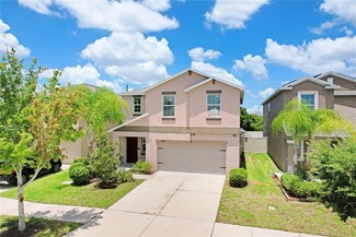 16951 Peaceful Valley Dr, Wimauma, FL 33598