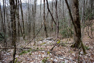 1824 Black Rock Rd, Cherokee, NC 28719