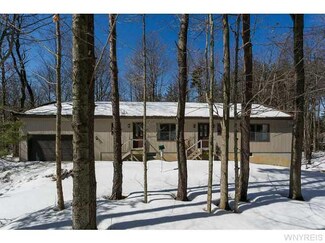 8036 Bleistein Rd, Colden, NY 14033