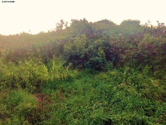2056 Kahekili Hwy, Wailuku, HI 96793