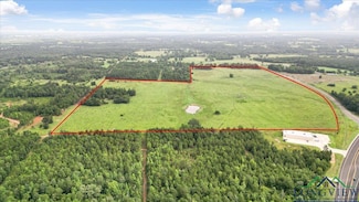 TBD S State Highway 42 S & Cr 477, Henderson, TX 75654