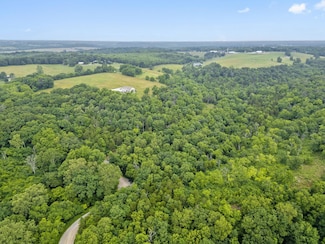 000 W Old Limey Rd, Battlefield, MO 65619