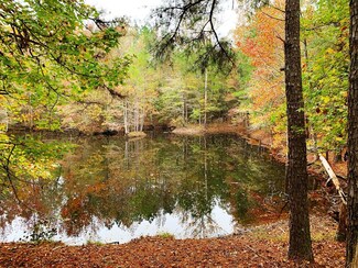 54 County Road 398, Taylor, MS 38673