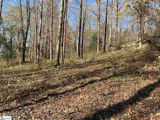 194 Catnip Trail, Landrum, SC 29356