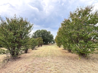 4701 Albatross Dr, Granbury, TX 76049