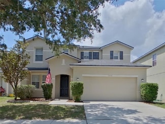 10454 River Bream Dr, Riverview, FL 33569