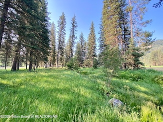 15465 S Wagon Rd, Jackson, WY 83001