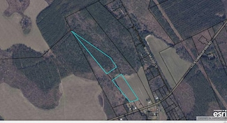 2050 Lucien Brailsford Rd, Manning, SC 29102