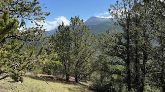 0 Tbd Four Mile Rd, Divide, CO 80814