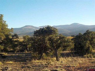 161 W Pfeiffer Loop, South Fork, CO 81154