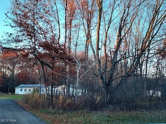 0 Manchester St Unit 5172420, Lake Milton, OH 44429