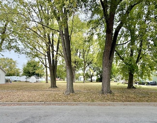 313 E Orchard St, Forrest, IL 61741