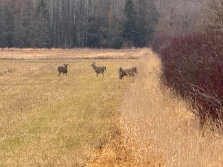 0 Michigan 48, Pickford, MI 49774