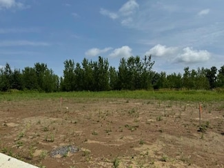 xxx3 N Fitzgerald Ave, Rush City, MN 55069
