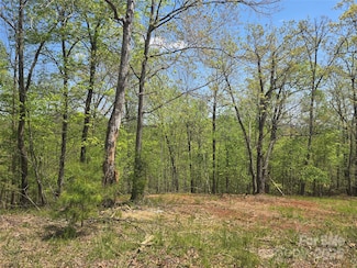 LOT 23 High Rock Ridge, Lake Lure, NC 28746