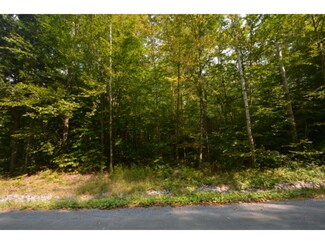 0 Loon Dr Unit 4338725, Grantham, NH 03753