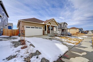 14029 Scarlet Sage St, Parker, CO 80134