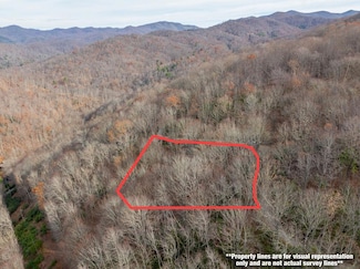 Lot 5 Mt Tabor, Franklin, NC 28781